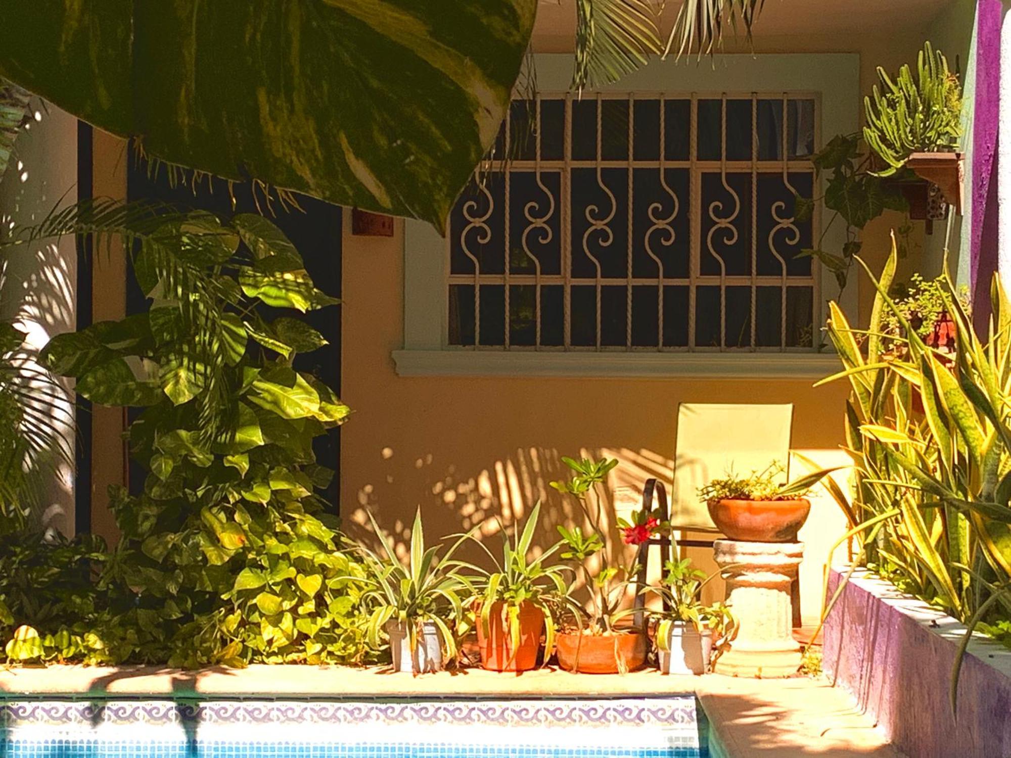 Hotel Santa Ana メリダ エクステリア 写真