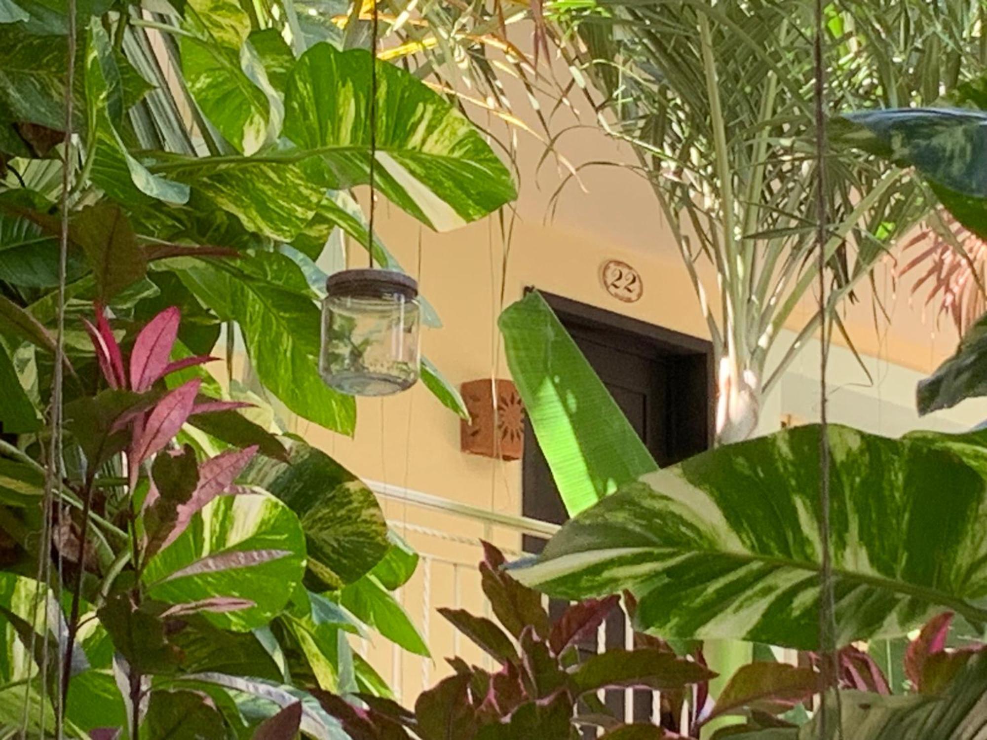 Hotel Santa Ana メリダ エクステリア 写真